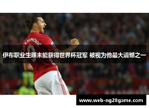 伊布职业生涯未能获得世界杯冠军 被视为他最大遗憾之一