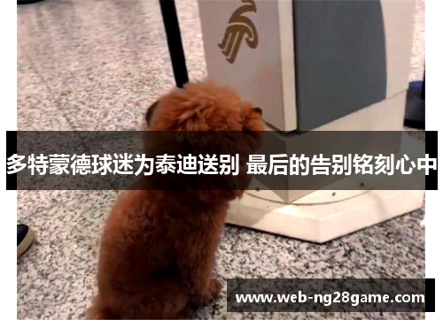 多特蒙德球迷为泰迪送别 最后的告别铭刻心中