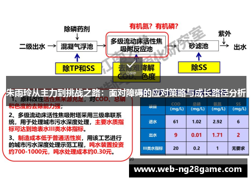 朱雨玲从主力到挑战之路：面对障碍的应对策略与成长路径分析