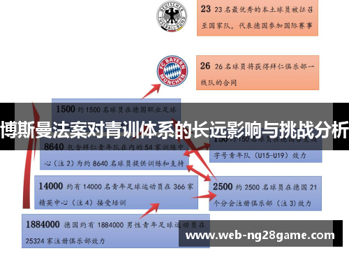 博斯曼法案对青训体系的长远影响与挑战分析