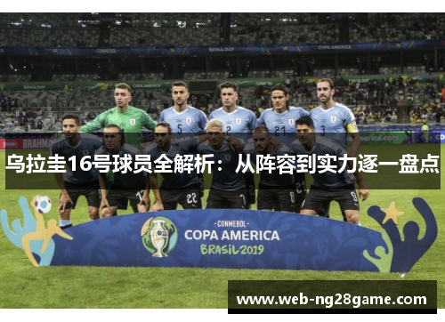 乌拉圭16号球员全解析：从阵容到实力逐一盘点
