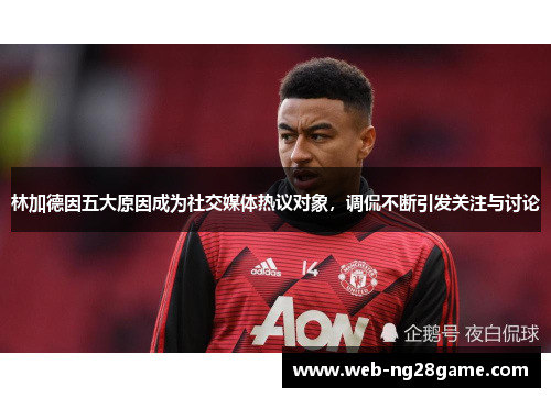 林加德因五大原因成为社交媒体热议对象，调侃不断引发关注与讨论