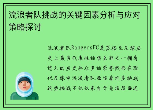 流浪者队挑战的关键因素分析与应对策略探讨